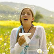 Nasal Allergies / Hay Fever